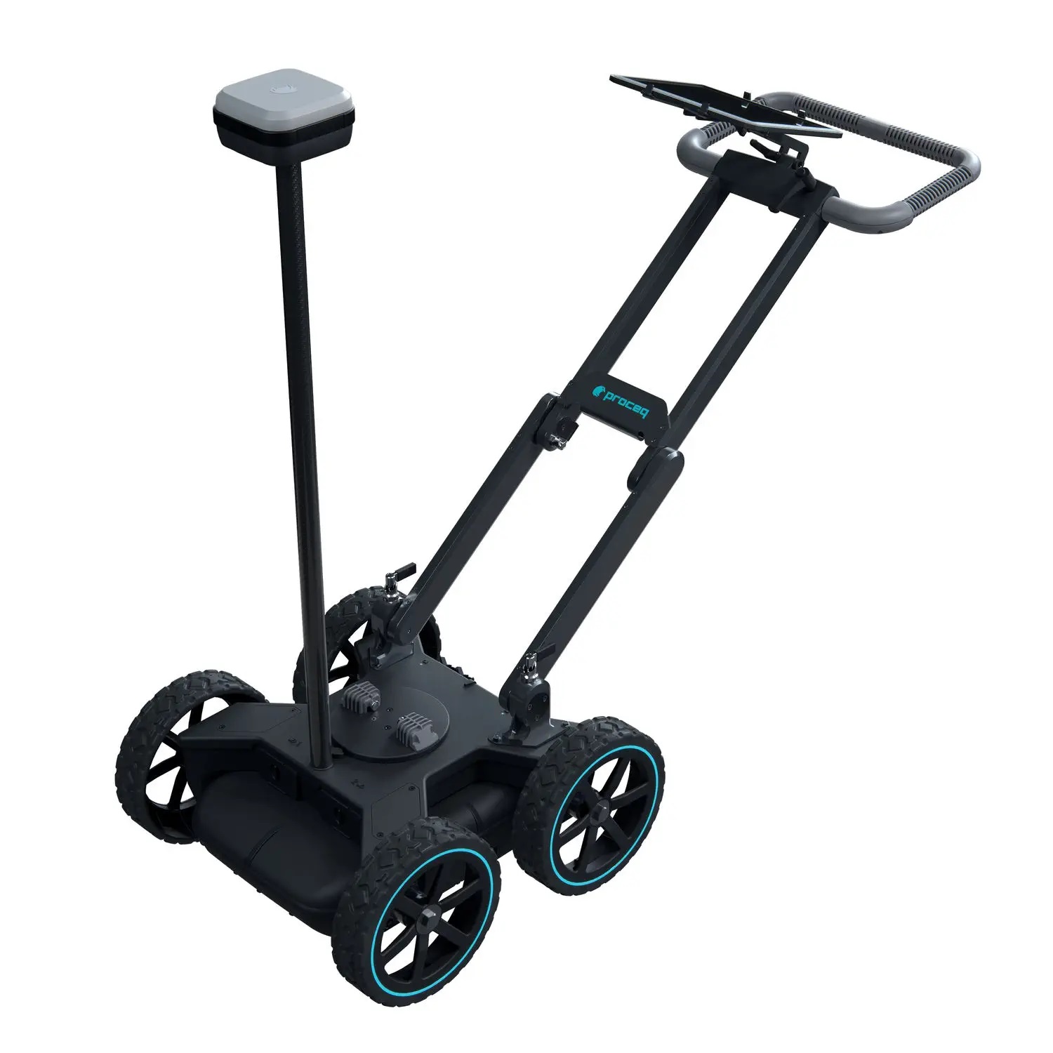 Fusce nec facilisi
